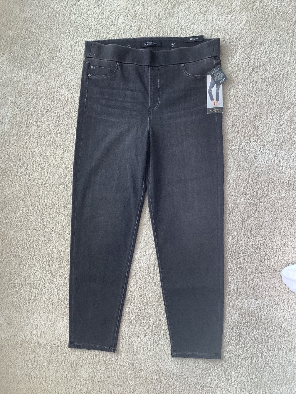 Liverpool Meteorite Washed Jeans 16